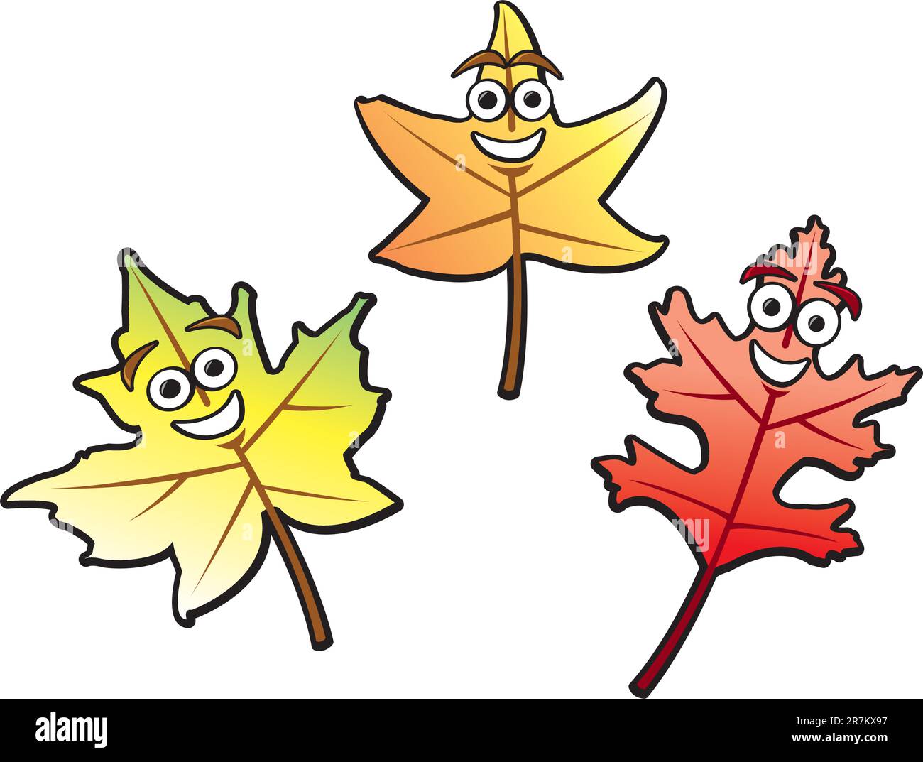 Three autumn leaves of various common types drawn in a fun cartoon