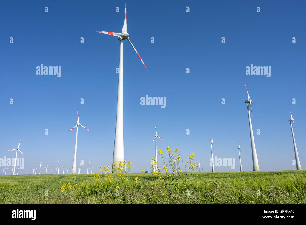 Wind farm in an agricultural area in Germany Stock Photo