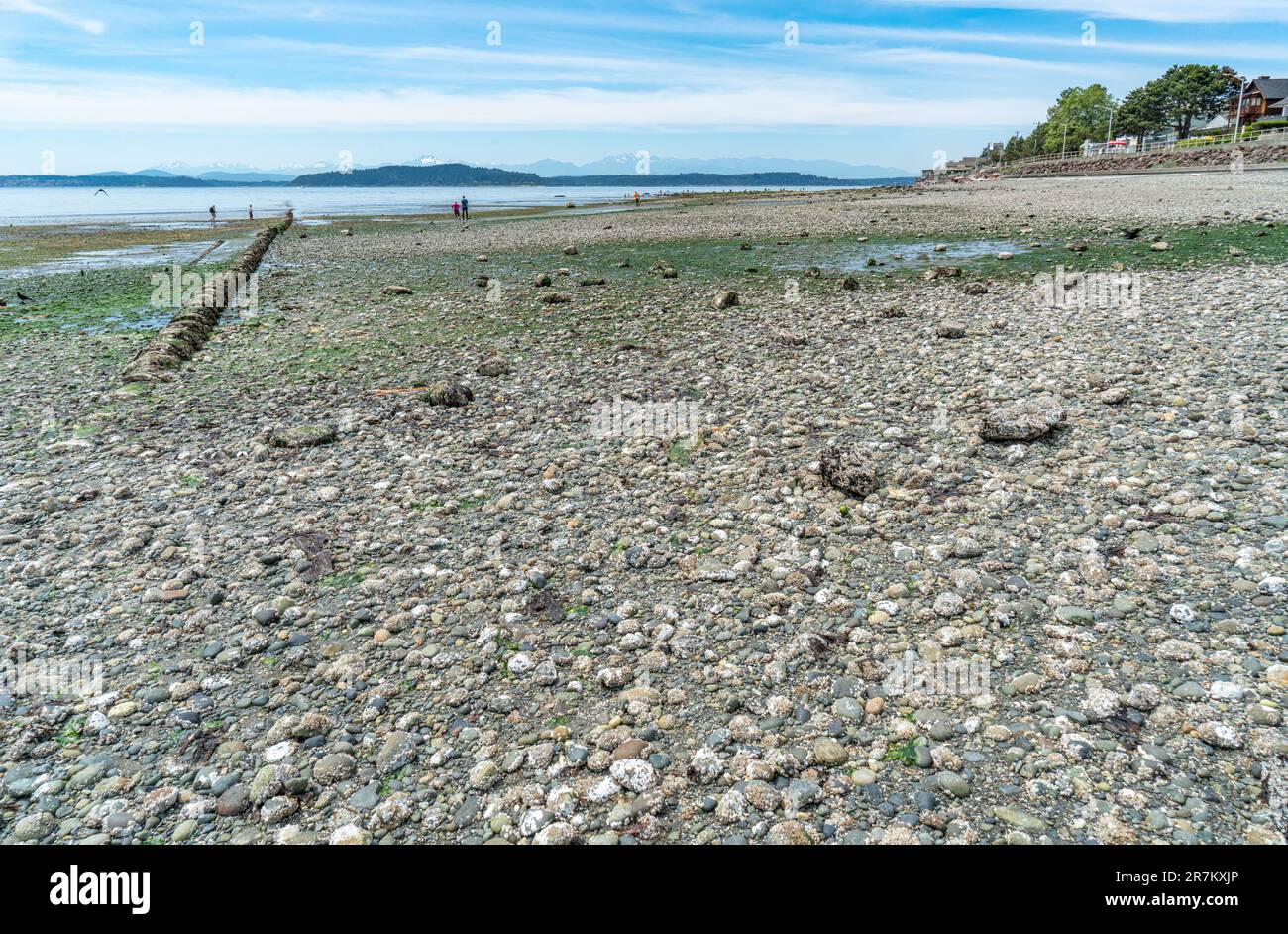 A view of the West Seattle shoreline with an extream low tide. Stock Photo