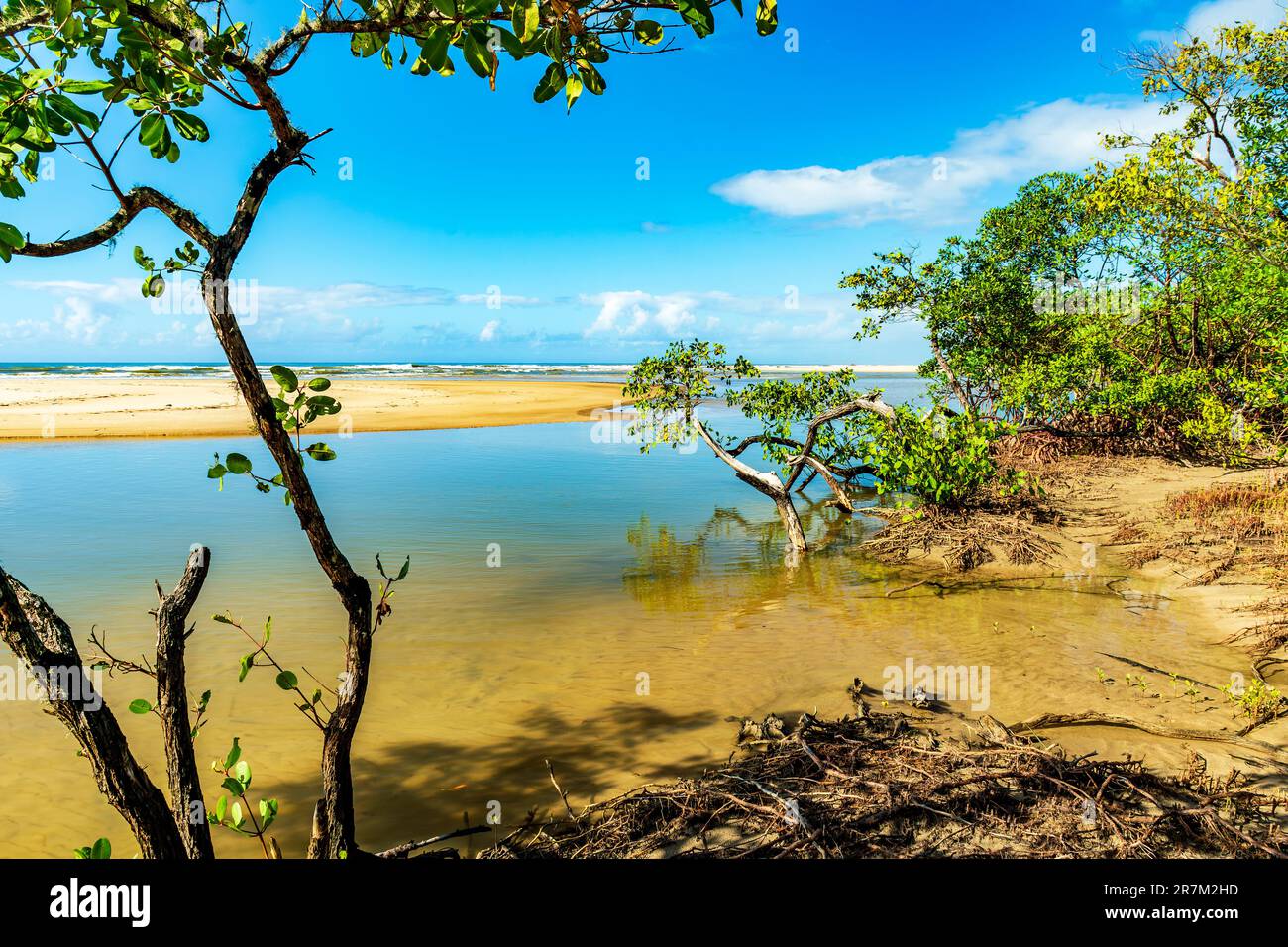 River and mangrove vegetation on the beach sand in Serra Grande on the south coast of Bahia Stock Photo