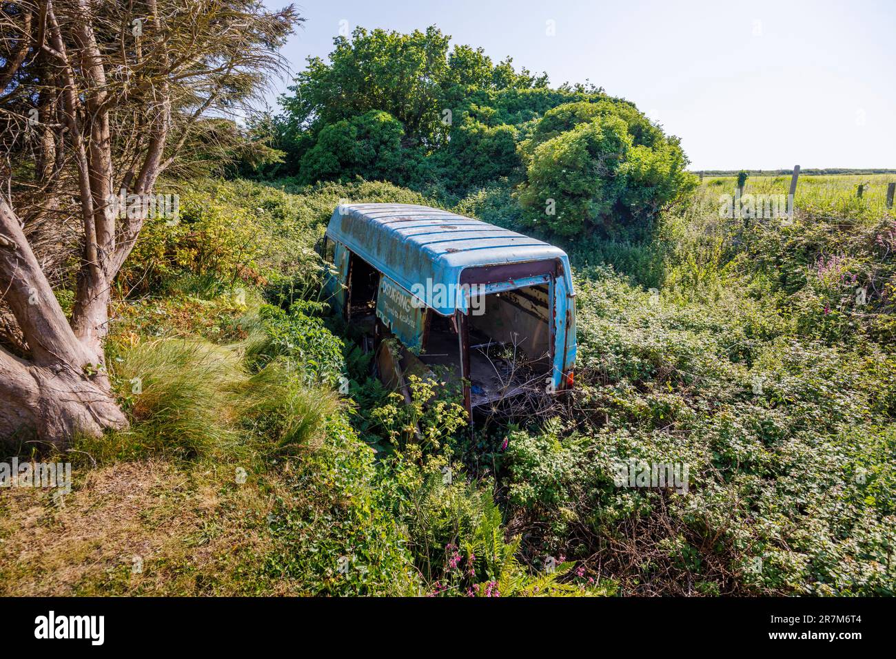 An overgrown, abandoned, disintegrating, blue van dumped in Marloes, a small village near the Pembrokeshire coast in south-west Wales, UK Stock Photo