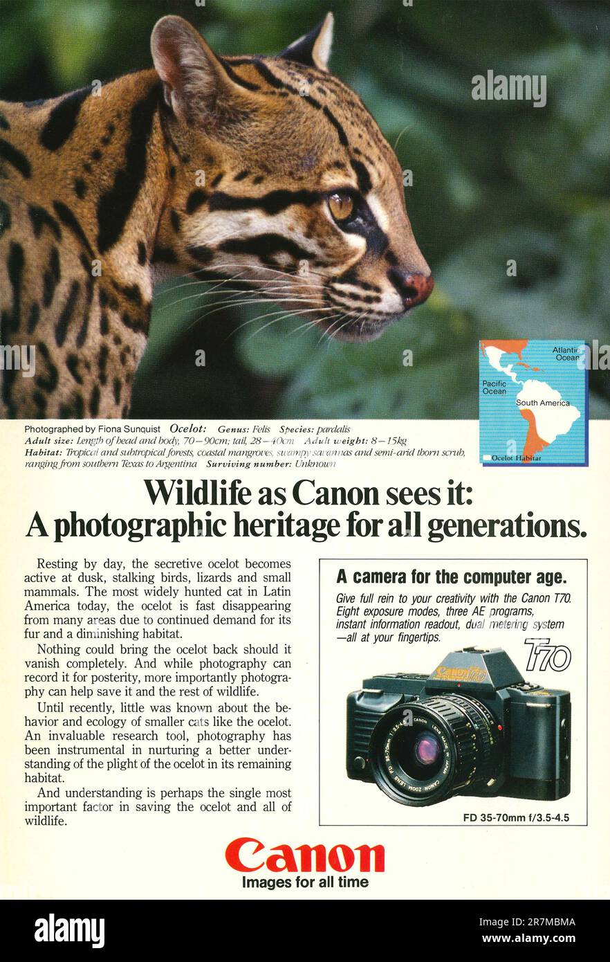 Canon T70 camera with 35-70 mm zoom lens advertisement placed in a NatGeo magazine, 1986. Wildlife as Canon sees it campaign Stock Photo
