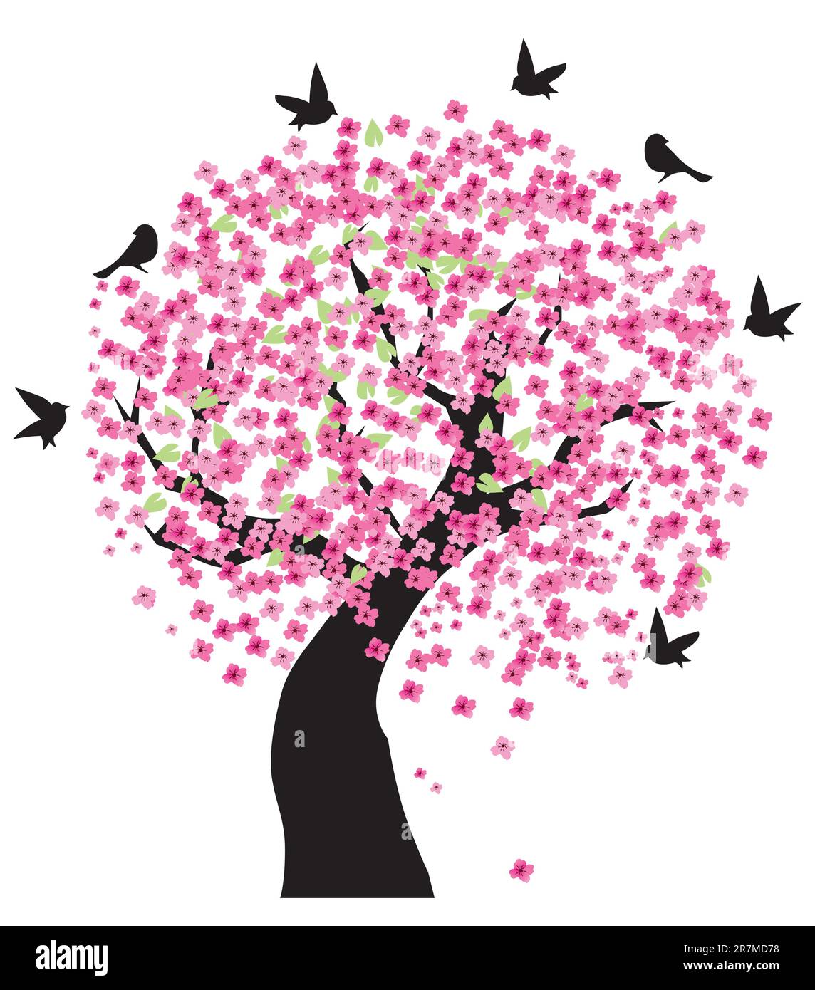 Vector illustration of a cherry tree in blossom Stock Vector Image ...