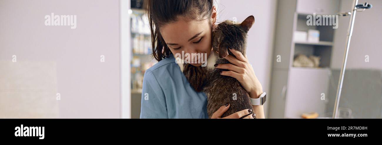 Veterinarian trainee in uniform embraces adorable tabby cat in modern clinic office Stock Photo
