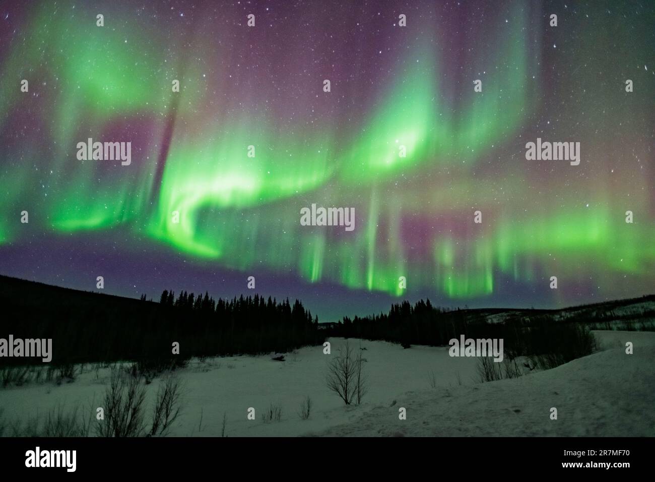 Northern lights, Aurora Borealis, Alaska Stock Photo