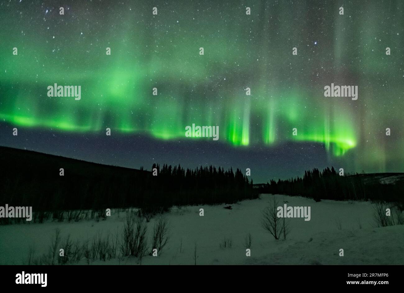 Northern lights, Aurora Borealis, Alaska Stock Photo