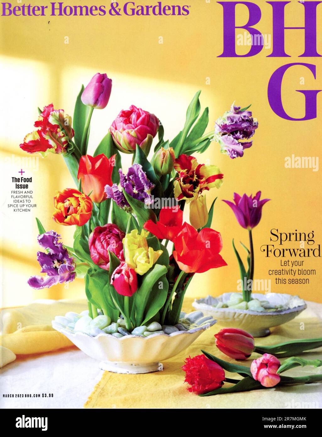 "Better Homes & Gardens" magazine March 2023 issue, USA Stock Photo Alamy