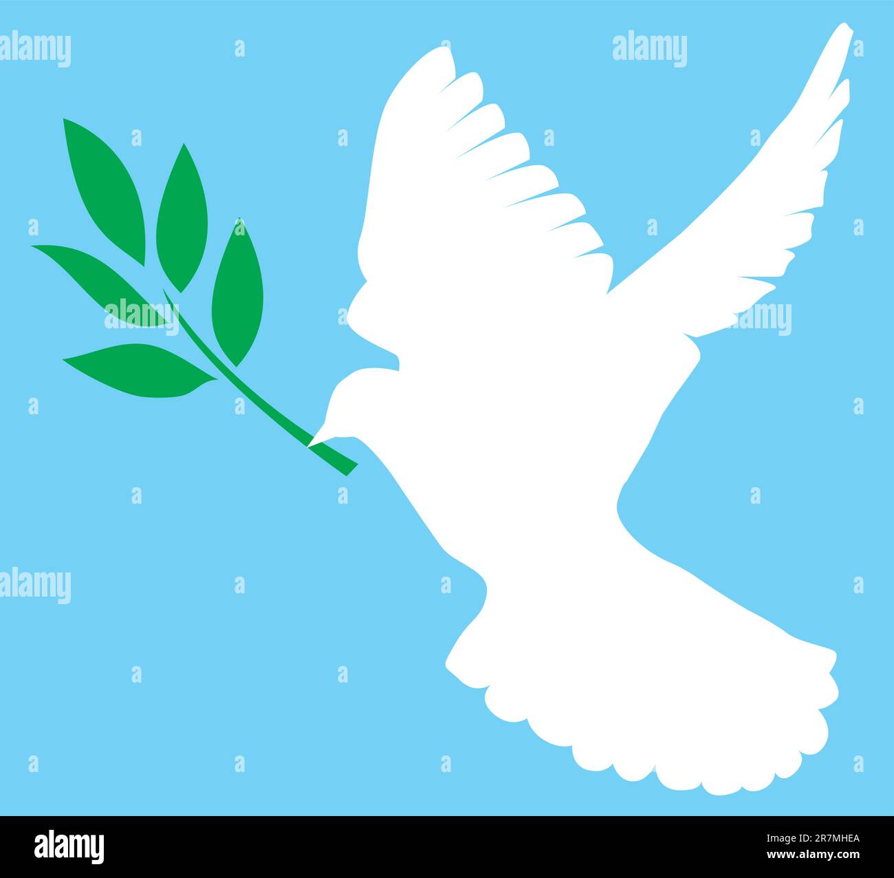 vector illustration of a dove with olive branch Stock Vector Image ...