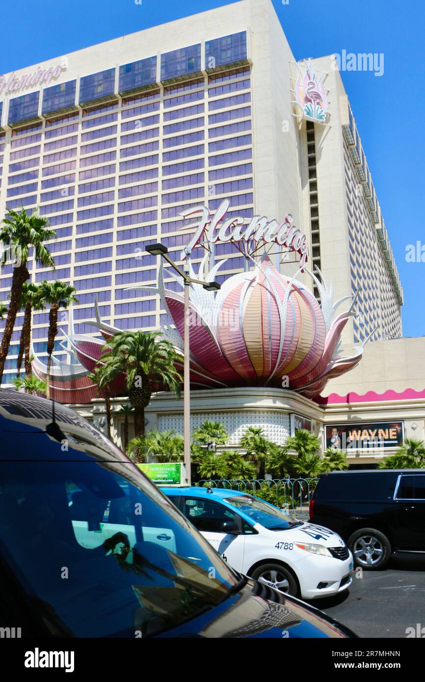 Flamingo Las Vegas hotel and casino Las Vegas Nevada USA Stock Photo