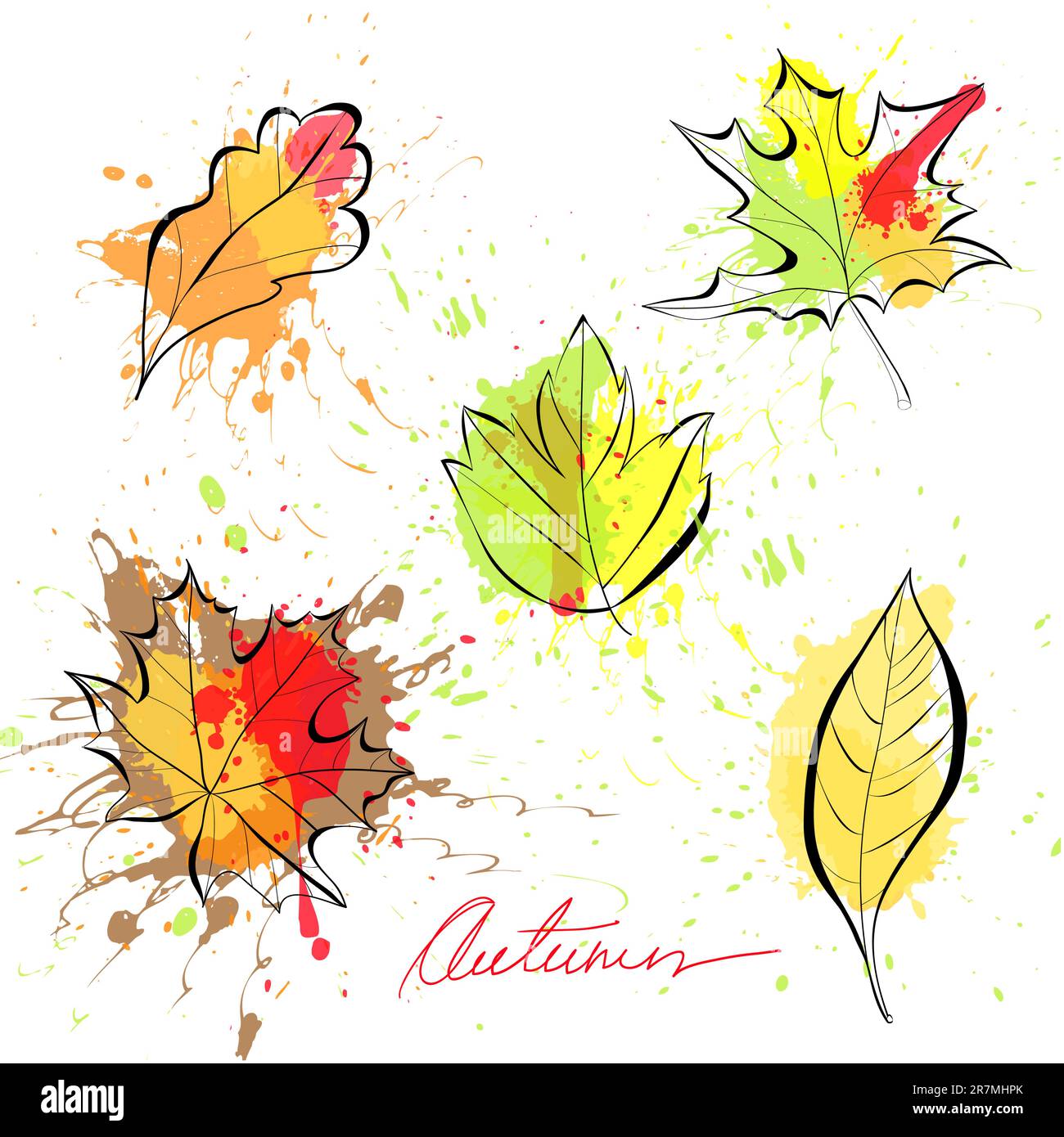 Set of autumn leaves Stock Vector Image & Art - Alamy