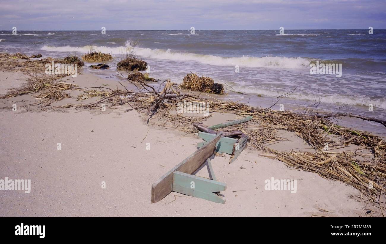Floating debris has reached Black Sea beaches in Odessa, Ukraine. Environmental disaster caused by the explosion of Kakhovka Hydroelectric Power Plant Stock Photo