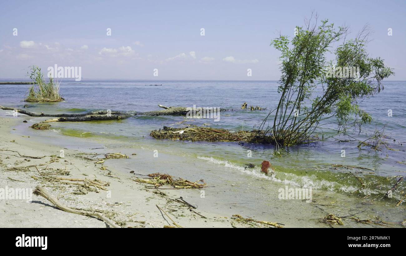Odessa, Ukraine. 16th June, 2023. Trees with floating debris has