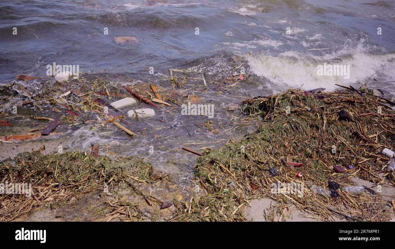 Odessa, Ukraine. 16th June, 2023. Close-up of floating debris has ...