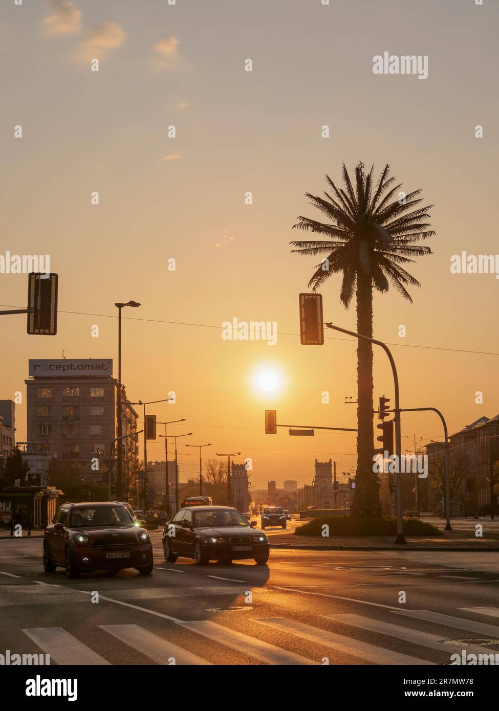 Artificial Palm Tree at Charles de Gaulle Roundabout, sunrise, Warsaw