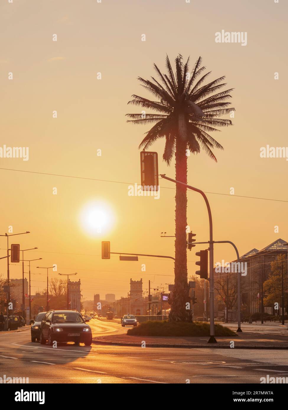 Artificial Palm Tree at Charles de Gaulle Roundabout, sunrise, Warsaw