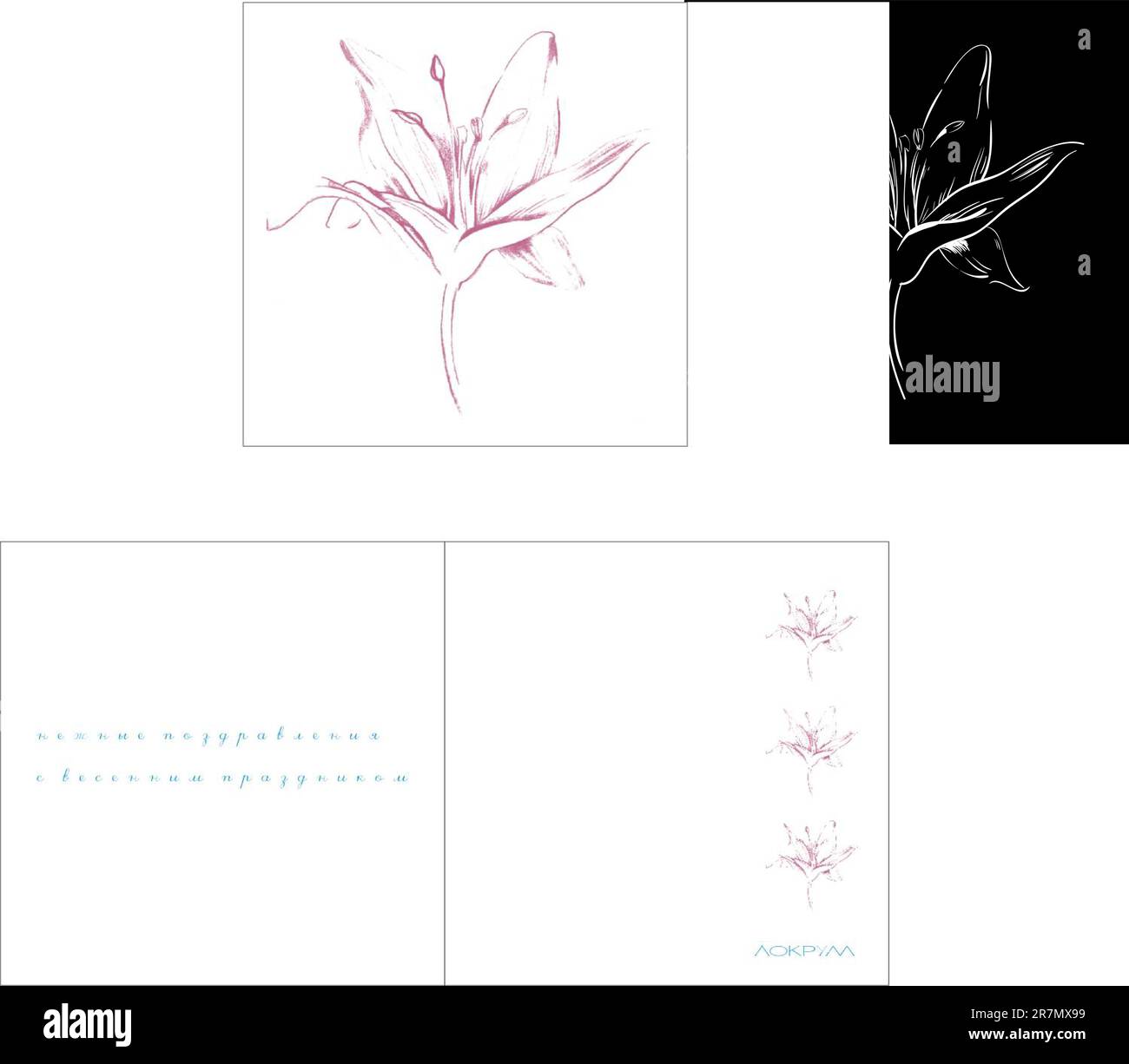 Vector image of lilies on a black background Stock Vector