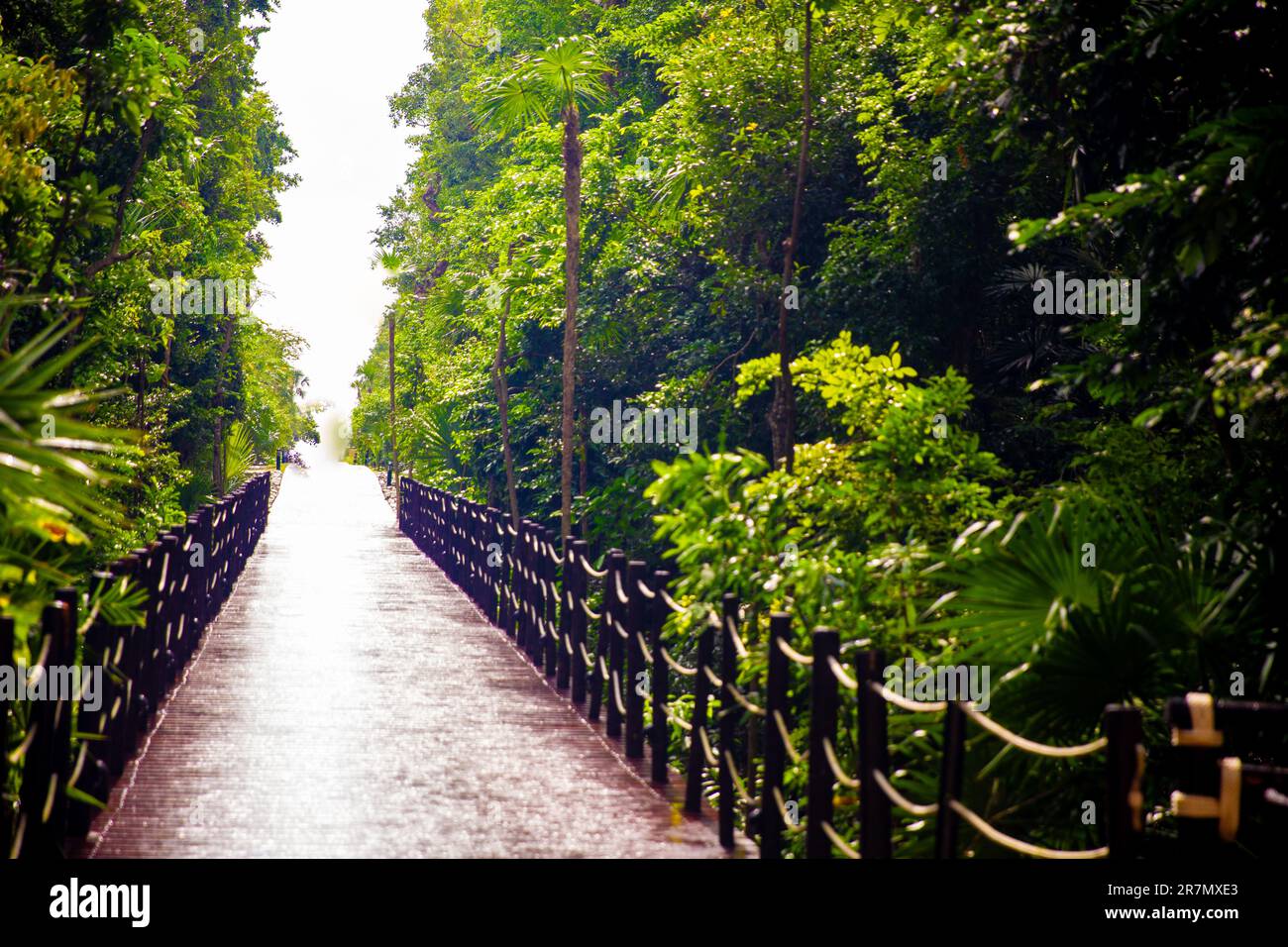 Going towards light hi-res stock photography and images - Alamy