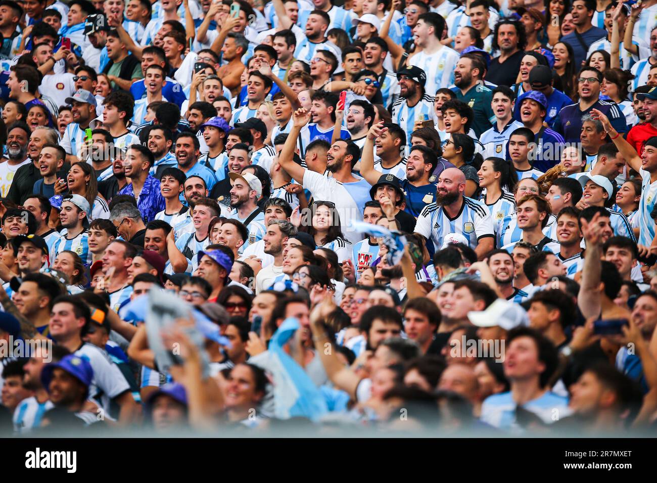 Argentina Soccer Team World Champion Stock Photo