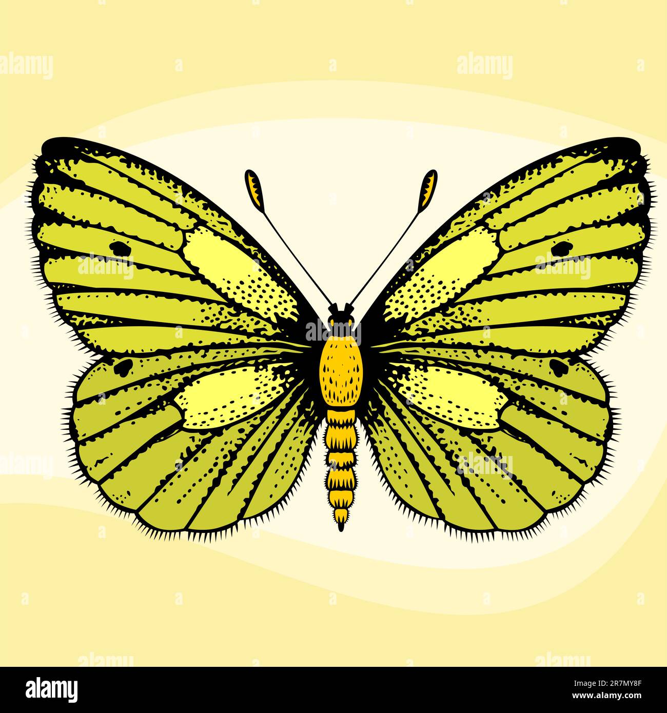 Color butterfly Stock Vector