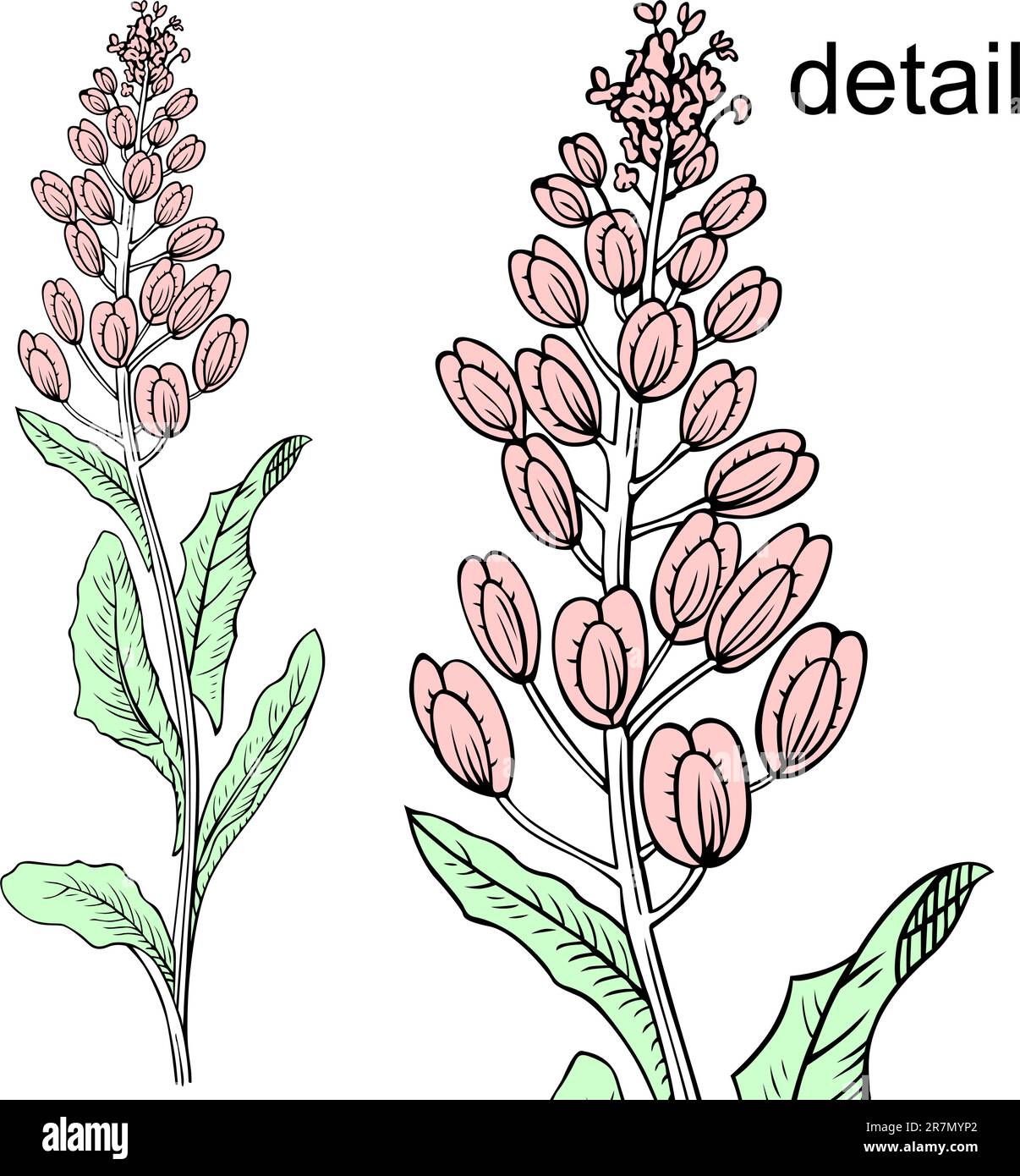 Painting class flower Stock Vector Images - Alamy