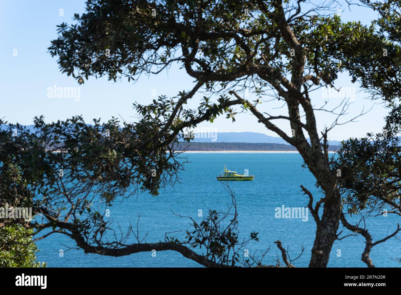 Mount Maunganui New Zealand - June 13 2023; Bright yellow Pilot boat in harbour entrance framed by twisted pohutukawa tree branches.1 Stock Photo