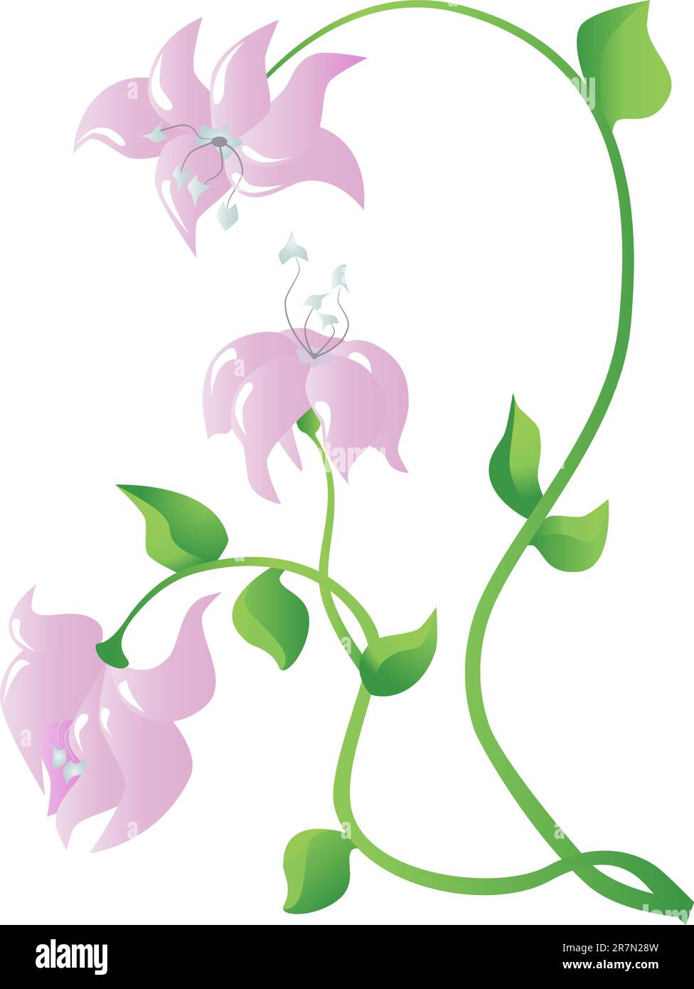 Vector picture of pink flowers on white background Stock Vector Image ...