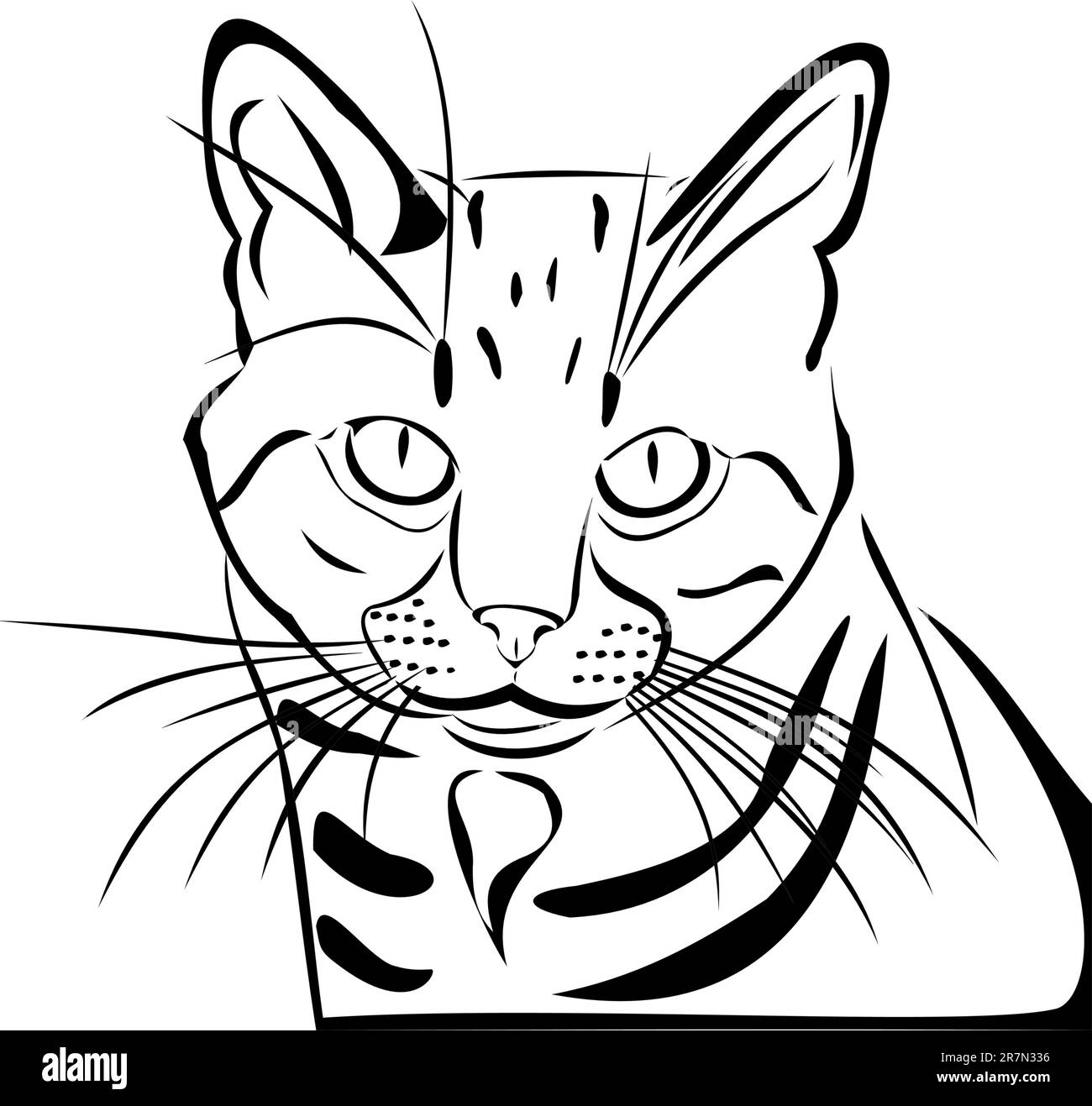 Black Cat A House Cat The Cat s Breed Stock Vector Image Art Alamy black-cat-a-house-cat-the-cat-s-breed-stock-vector-image-art-alamy