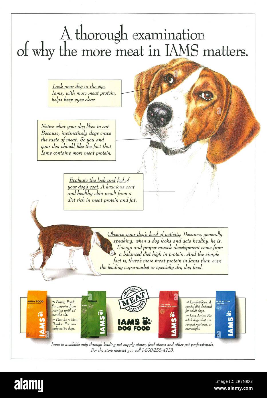 IAMS Dog Food advert in a magazine 1993 Stock Photo
