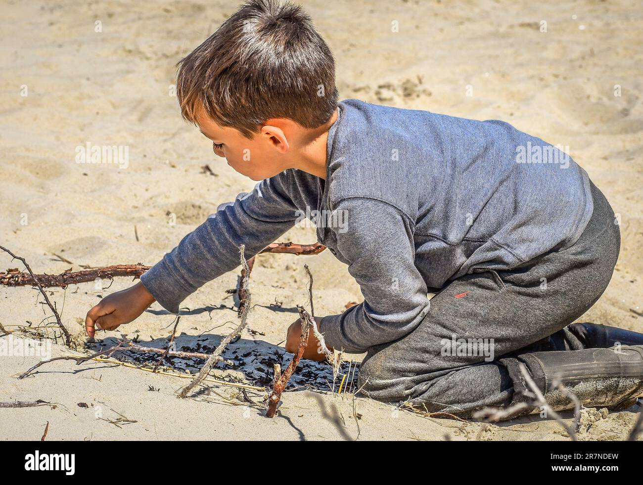 This young boy plants a garden of dead seaweed.  To protect it he very carefully builds a driftwood stick fence. It is great to have fun at the beach. Stock Photo