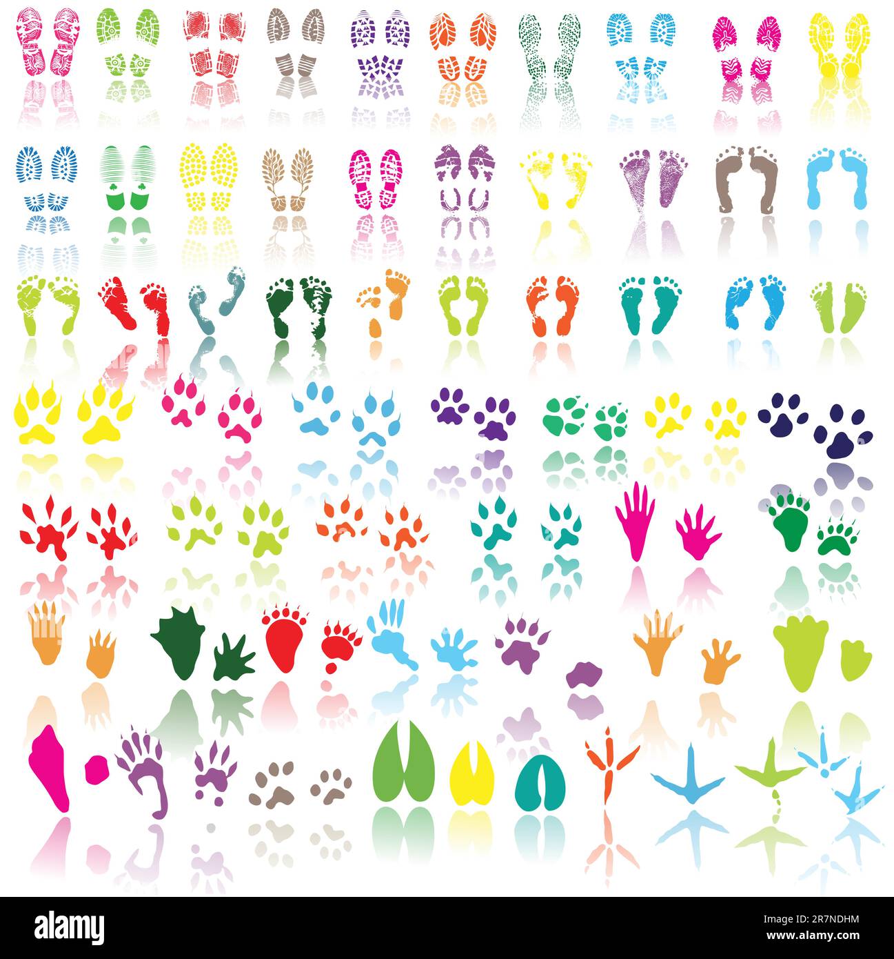 Collection of shoe print, footprint, animal and bird trails Stock Vector
