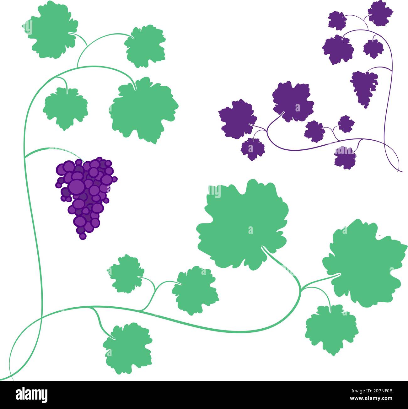 Grape bloom Stock Vector Images - Alamy