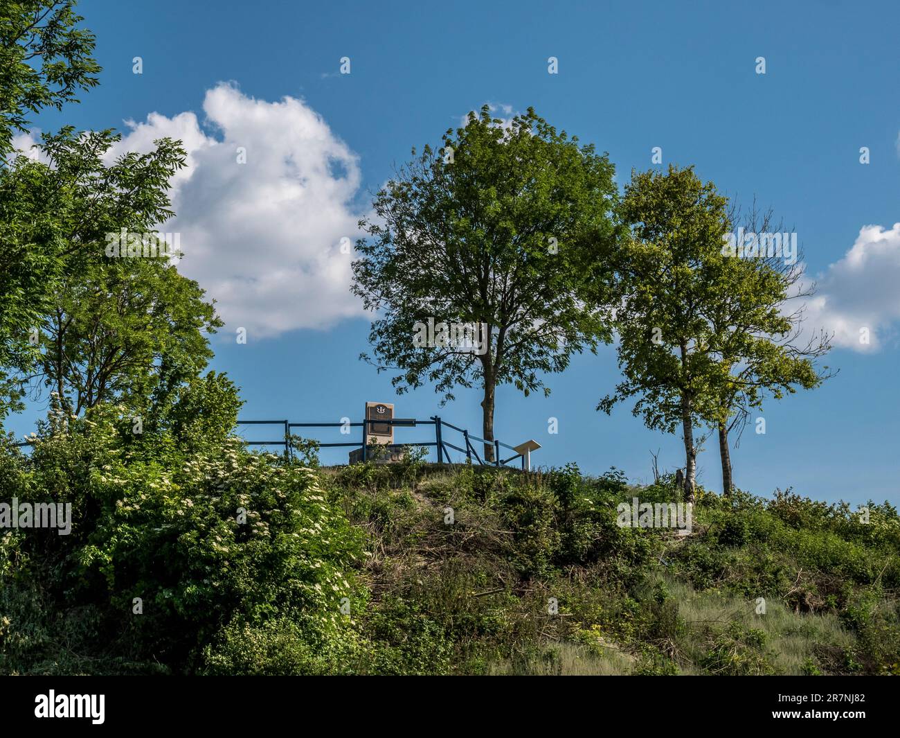The image is of the famous Butte de Warlencourt that was viciously ...