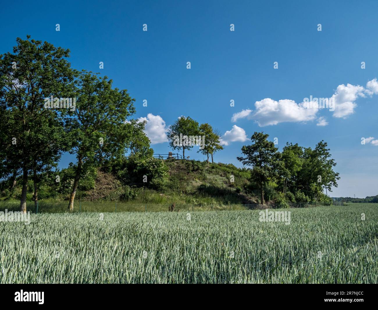The image is of the famous Butte de Warlencourt that was viciously ...