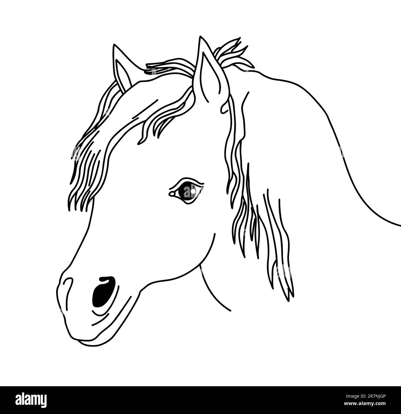 vector silhouette of the head horse on white background Stock Vector
