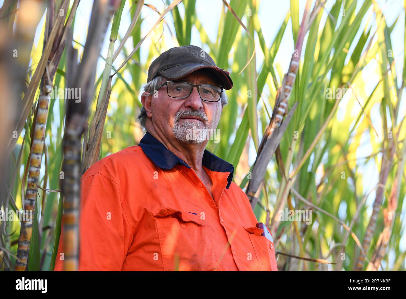 Norwell, Australia. 15th June, 2023. Cane farmer Larry Spann poses for