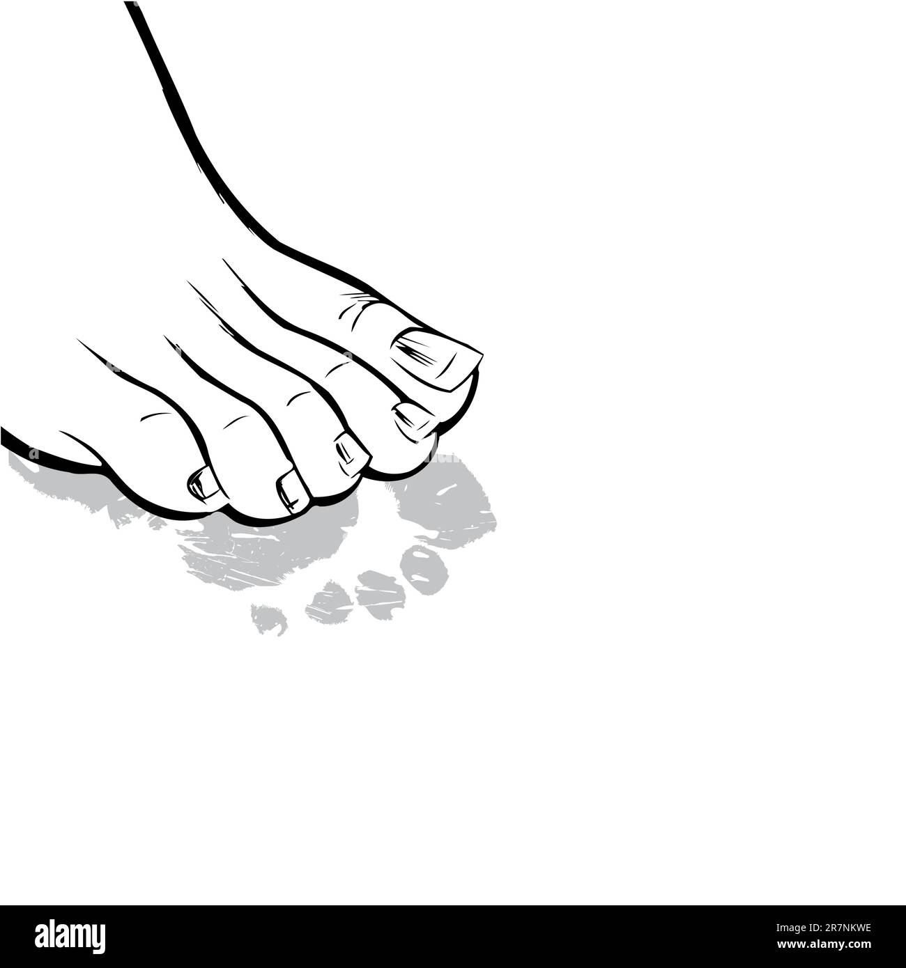 Human foot and its print on a white background.Vector illustration Stock Vector
