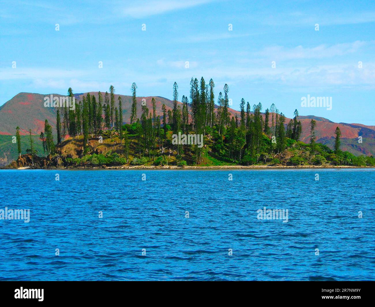 Landscape in New Caledonia, Norfolk pines on an island and red rolly hills in remote background. Stock Photo