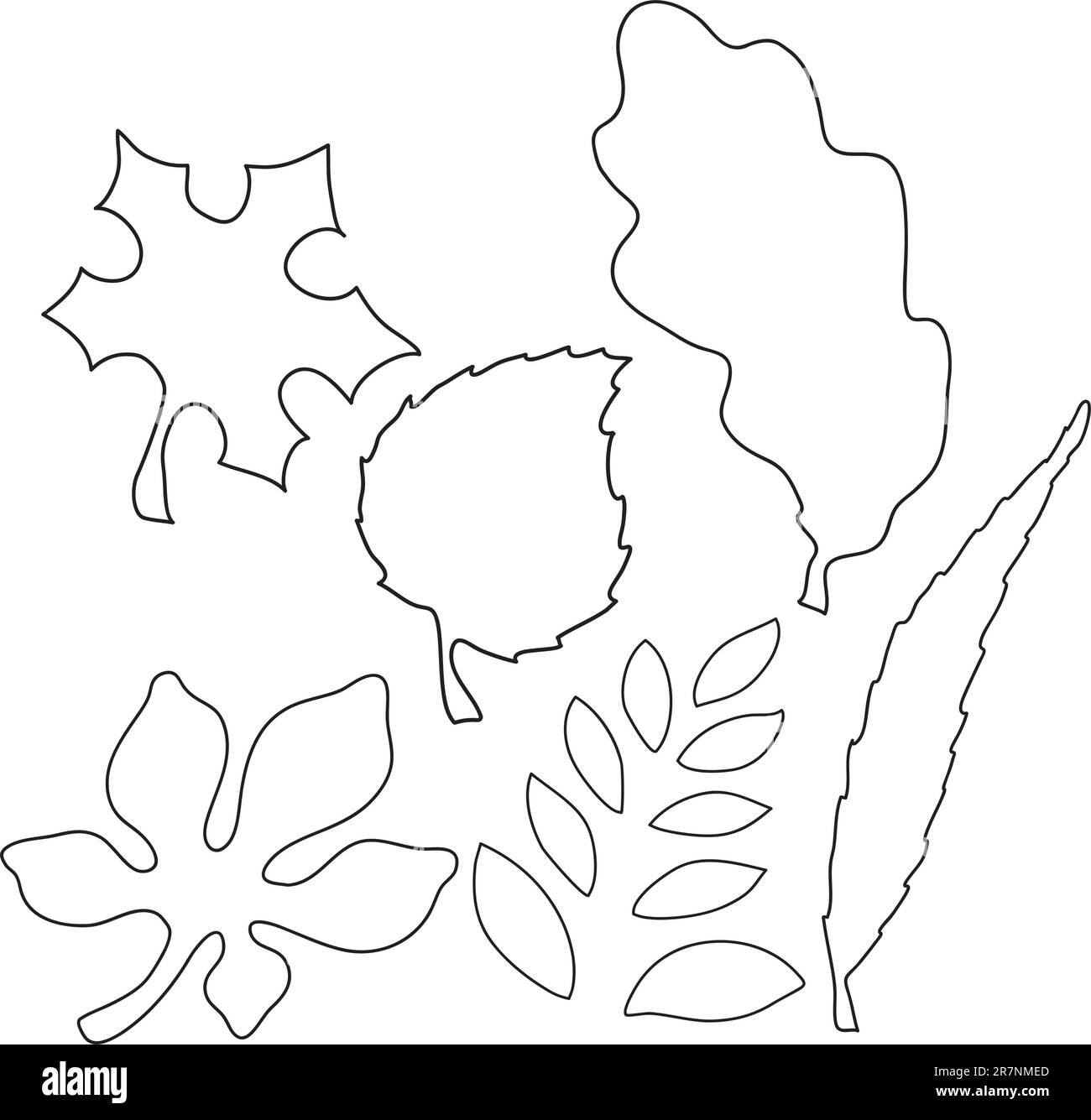 Vector illustration of different types of leaves on a white background Stock Vector