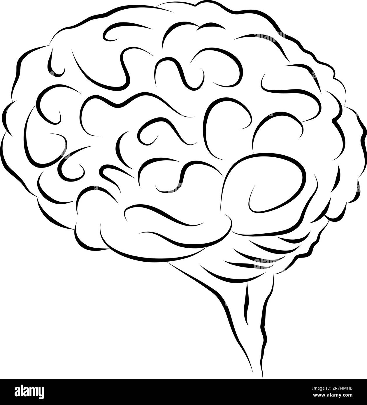 An image of a elegant human brain design element. Stock Vector