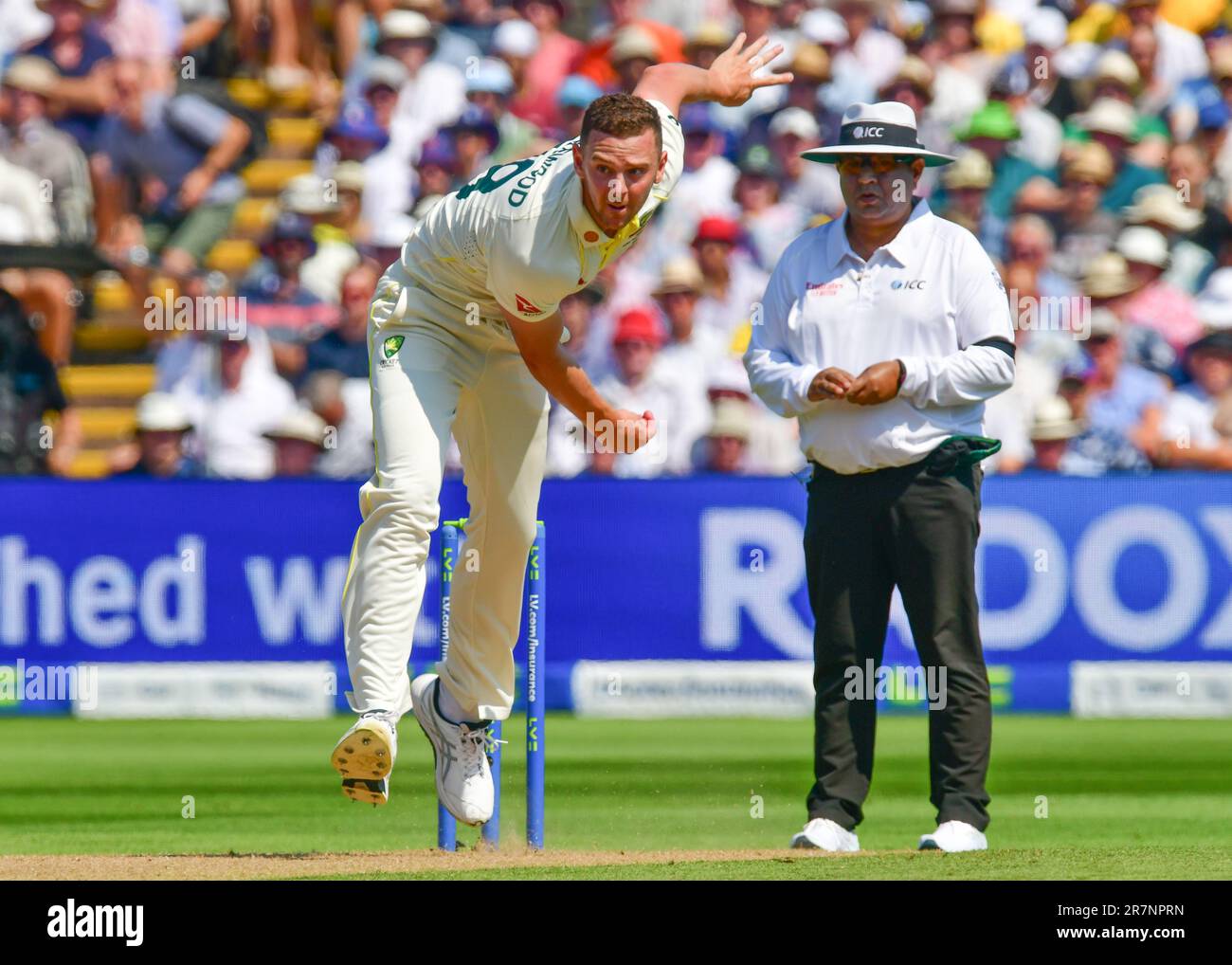 Australia'S Crushing Defeat: Hazlewood'S Worst Day Defined The Match - j9kda99