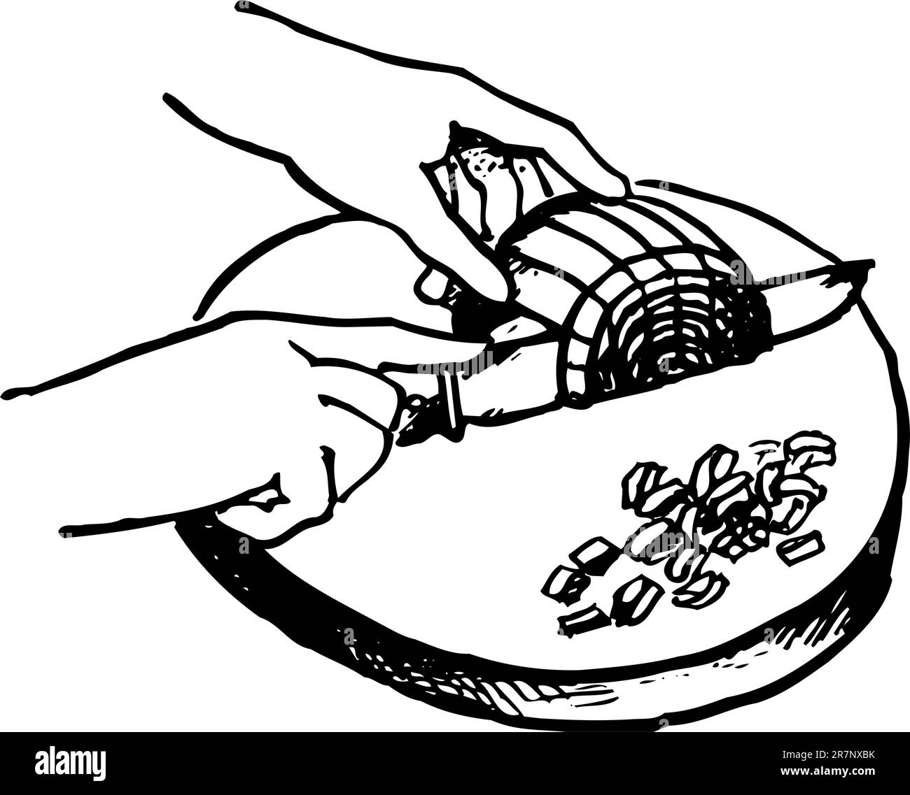 Image onion Black and White Stock Photos & Images Alamy