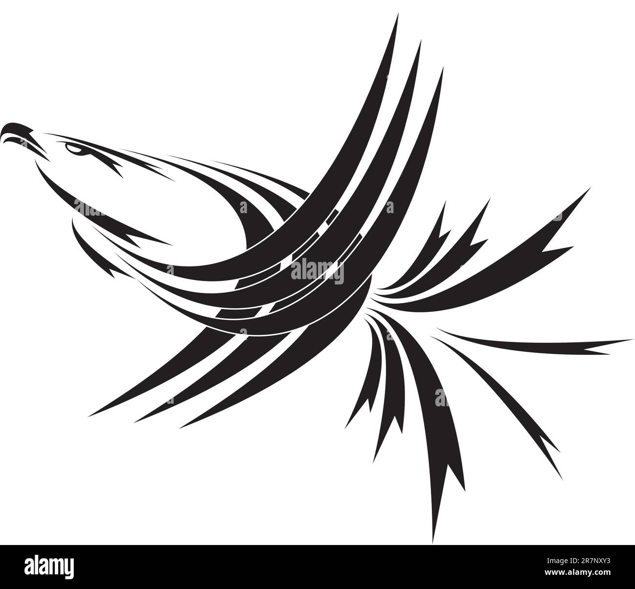 Eagle symbol isolated on white for design - also as emblem or logo