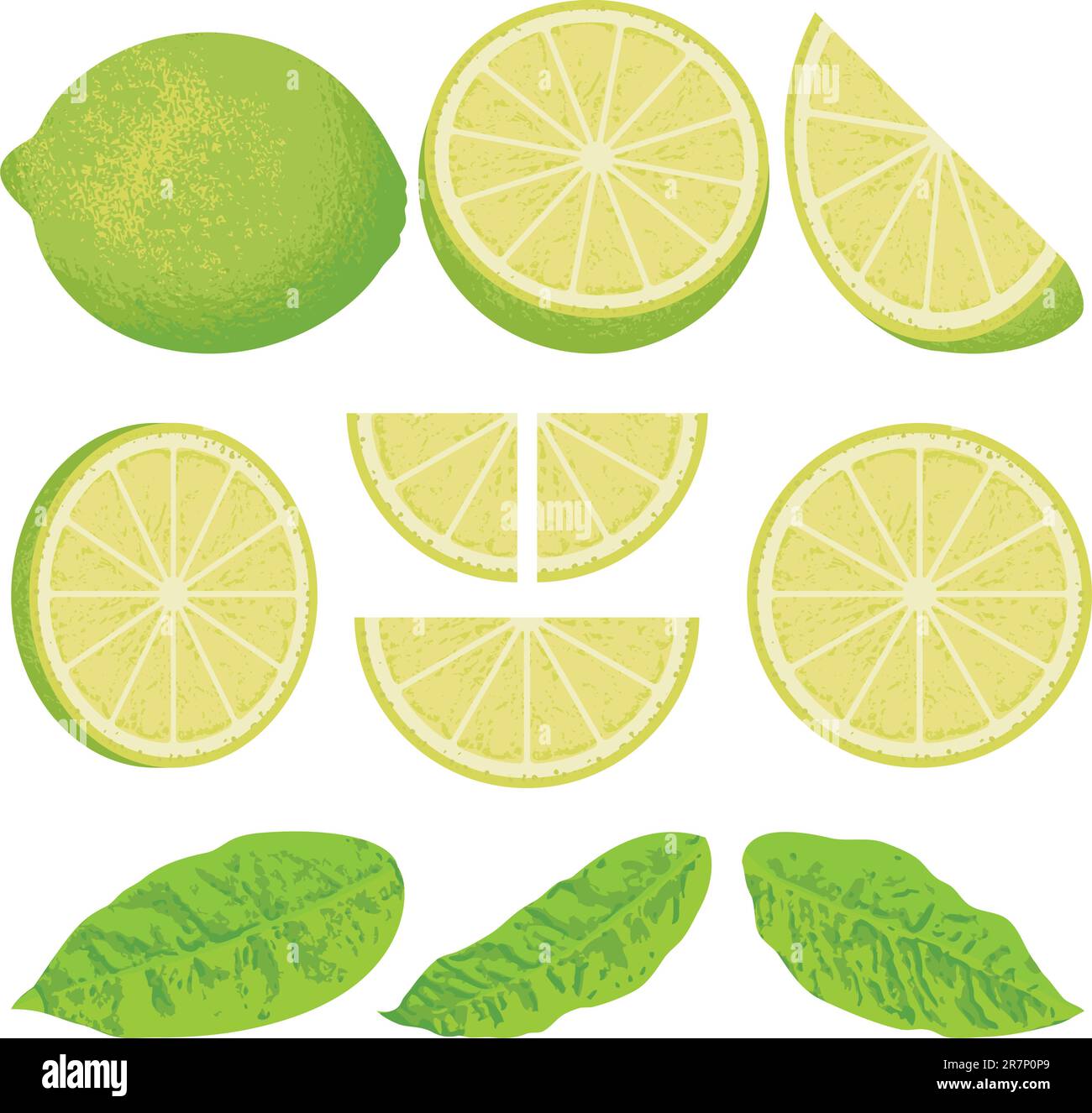 A whole lime lemon and slices at different angles, also three versions ...