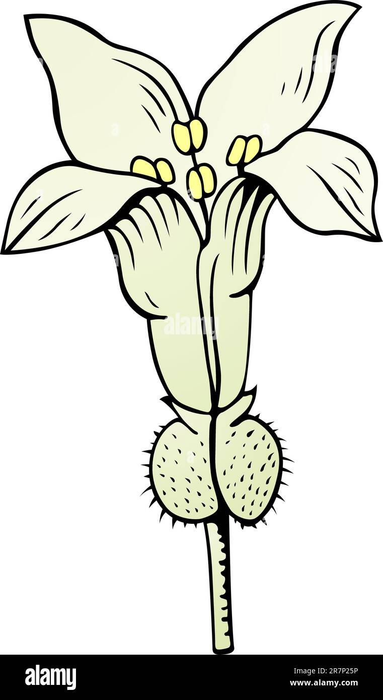 Flower isolated on white Stock Vector Image & Art - Alamy