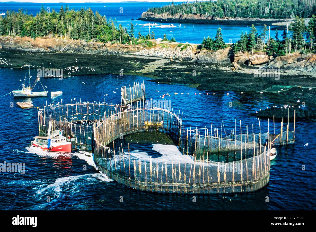 Aerial of Campobello Island, New Brunswick, Canada Stock Photo Alamy