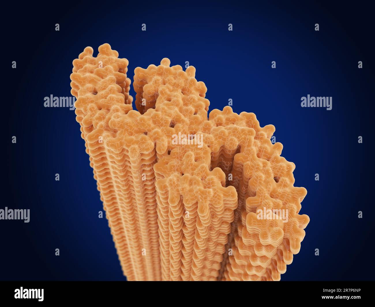 Illustration of filaments of tau protein. Tau is an abundant neural