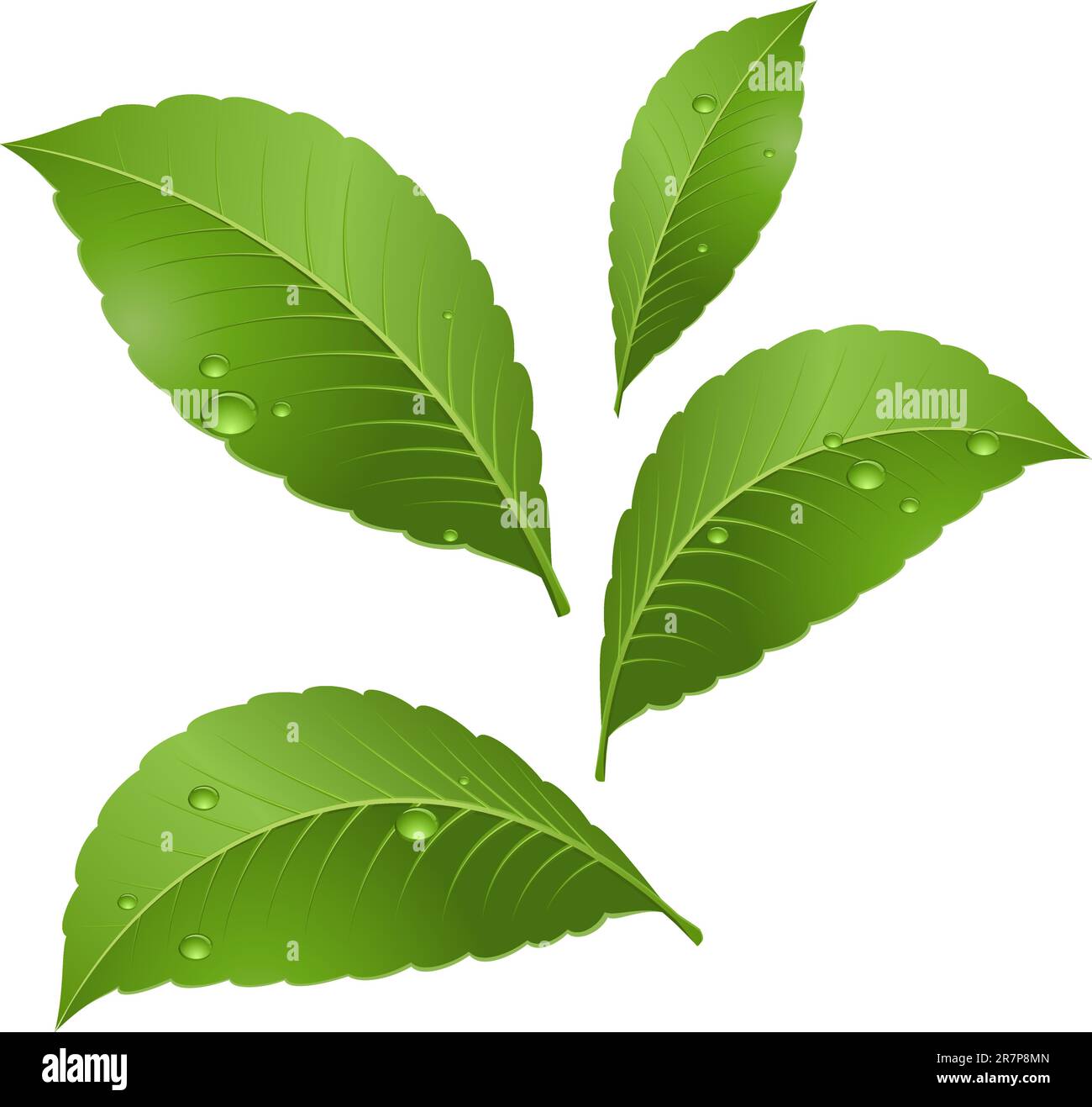 Glass Corner Macro Stock Vector Images Alamy glass-corner-macro-stock-vector-images-alamy