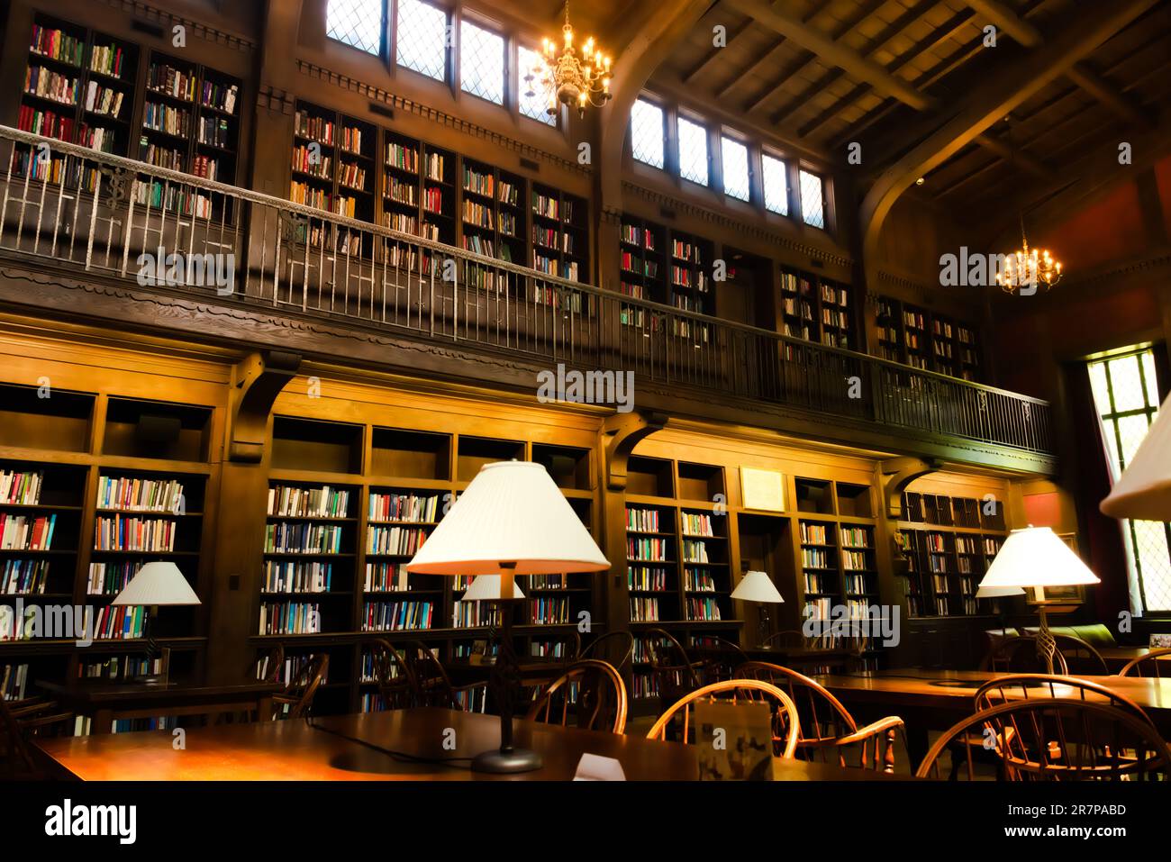 a-quiet-place-to-study-shelves-of-books-wood-desks-muted-lighting