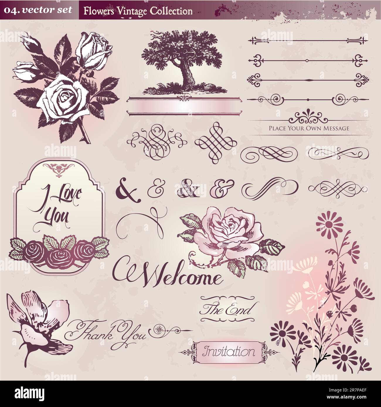 Collection of vintage floral elements Stock Vector Image & Art - Alamy