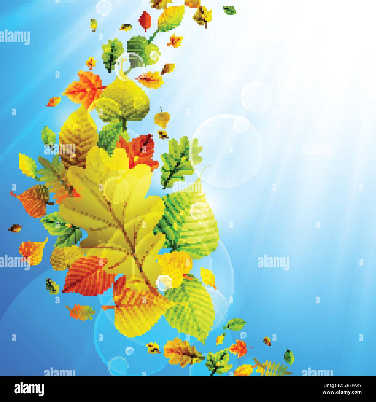 Autumn background with colorful leaves on sky and place for text ...